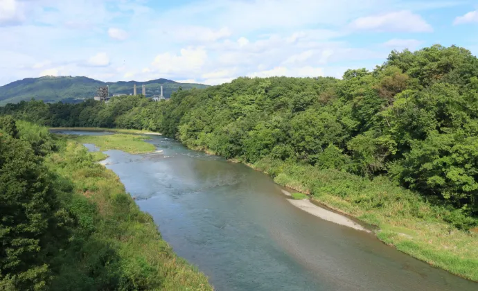 川とその周りの木々